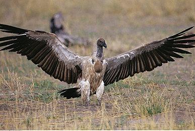 日式肉鸽砍杀游戏《江户：僵尸复活》将登陆Steam